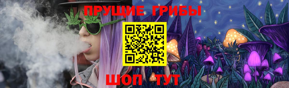 Псилоцибиновые грибы MAGIC MUSHROOMS  Вход с VPN  что такое наркотик  Псилоцибиновые грибы прущие грибы  Можга 